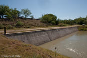 20090421_hidalgo-16.jpg