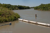 20090421_hidalgo-18.jpg