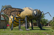 20090421_hidalgo-20.jpg