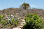 Texas Tropical Trail Region 