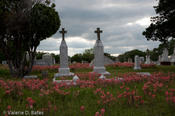 20100420_refugio-32.jpg