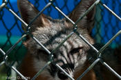20090915_laredo-8.jpg
