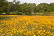20100420_refugio-50.jpg
