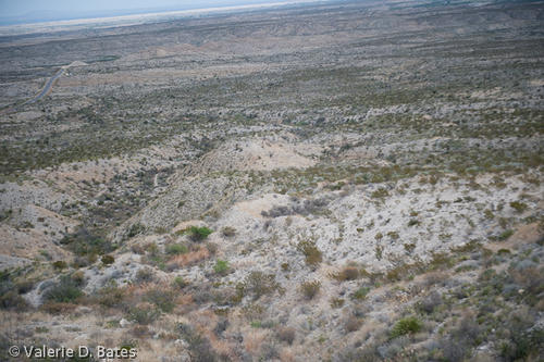 20090320_hwy-16-10.jpg