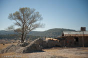 coppercanyon-149.jpg