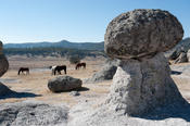 coppercanyon-160.jpg