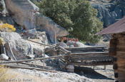 coppercanyon-173.jpg