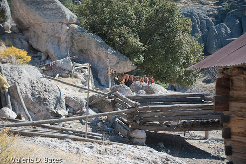 coppercanyon-173.jpg