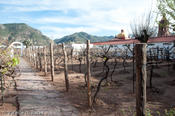 coppercanyon-354.jpg