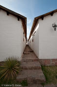 coppercanyon-359.jpg