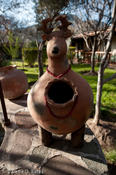 coppercanyon-383.jpg