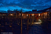 coppercanyon-443.jpg