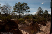 coppercanyon-292.jpg