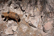 coppercanyon-296.jpg