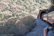 coppercanyon-626.jpg