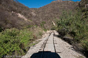 coppercanyon-658.jpg