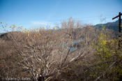 coppercanyon-675.jpg
