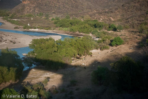 coppercanyon-703.jpg