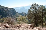 coppercanyon-475.jpg