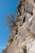 coppercanyon-482.jpg
