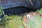 coppercanyon-511.jpg