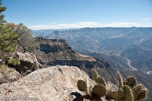 coppercanyon-532.jpg
