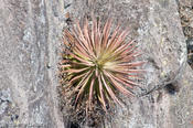 coppercanyon-548.jpg