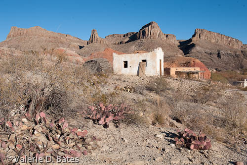 20111222_fm170-102.jpg