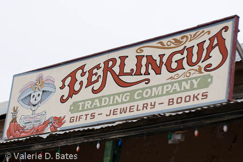 20111224_terlingua-209.jpg