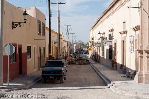 20090307_parras-10.jpg