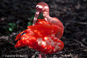 20100929_gpz-129.jpg