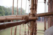 20101222-208.jpg