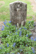 20120320_tttr-goliad-152.jpg